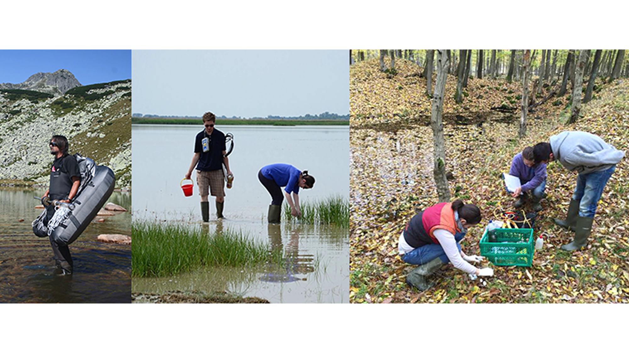 környezettudomány msc keresztfélév