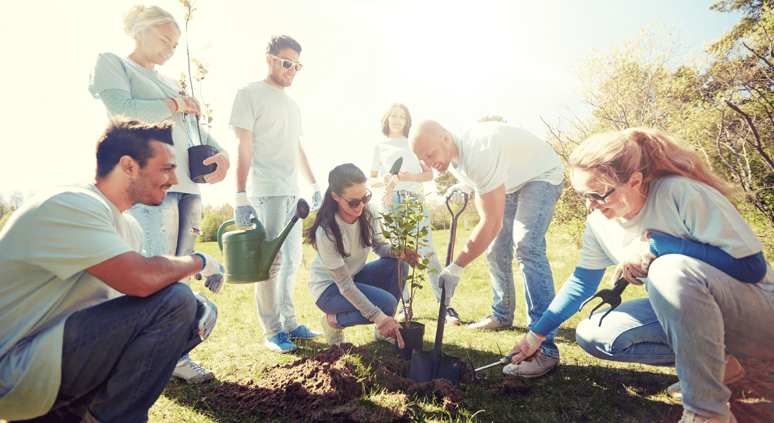 A KÖRNYEZET VÉDELMÉÉRT