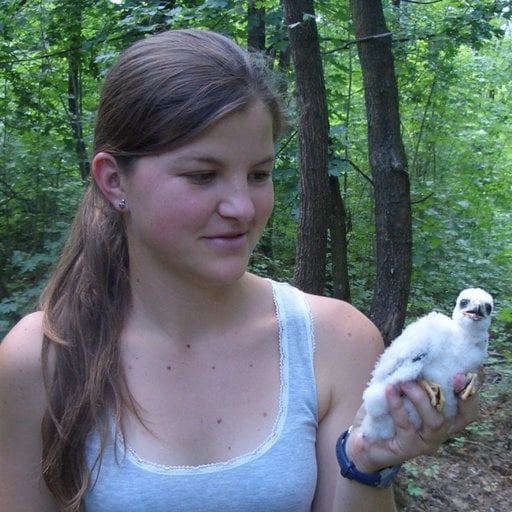 Pipoly Ivett Ildikó