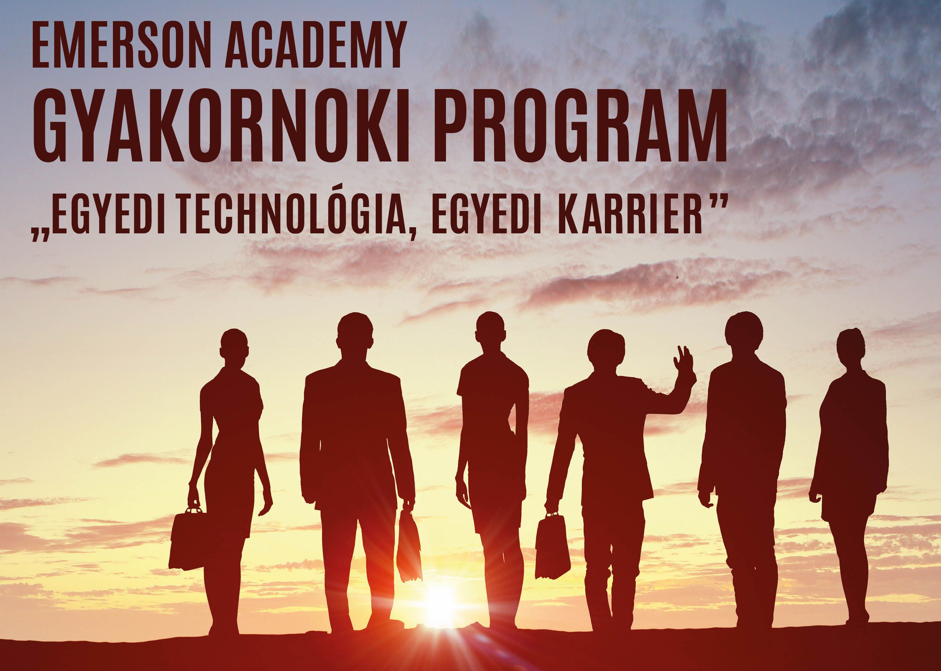 Gyakornoki Program - EMERSON ACADEMY 2016 web