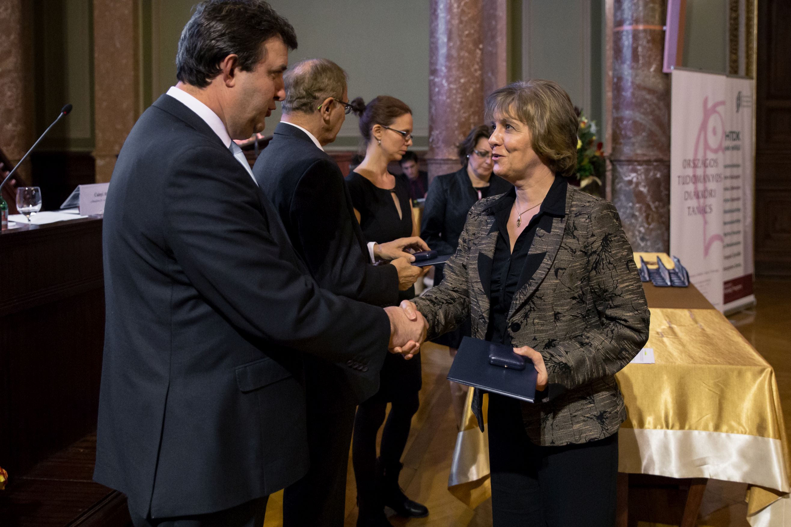 mestertanar SkodaneFR 