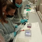 Szent-Györgyi Tehetséggondozó Program