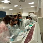 Szent-Györgyi Tehetséggondozó Program