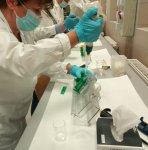 Pedagógus továbbképzés a Pannon Egyetem Mérnöki Karán