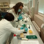 Pedagógus továbbképzés a Pannon Egyetem Mérnöki Karán